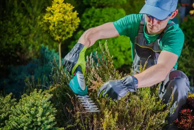 landscaping services Four Bridges